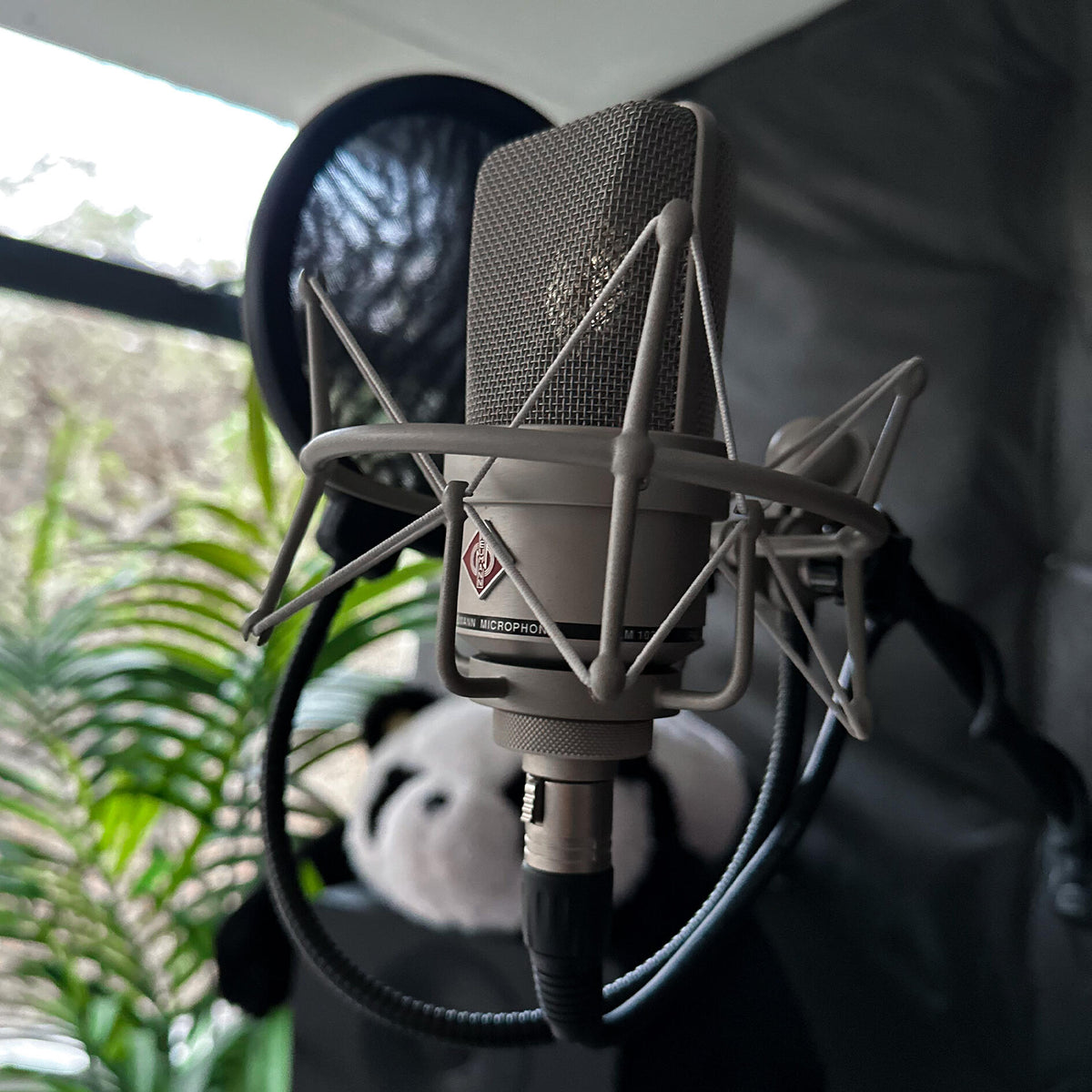 Neumann condenser microphone in Yoshi Studio